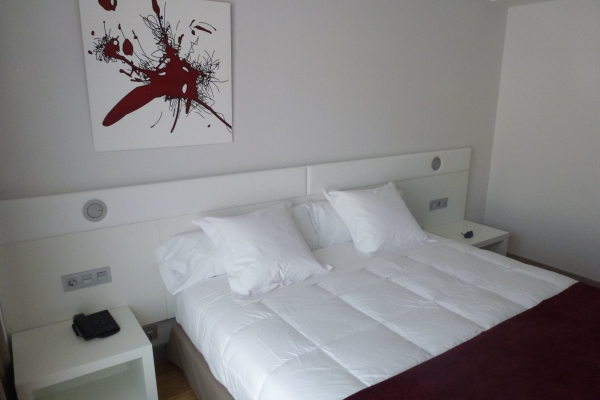 Hotel Ciudad de Miranda (Miranda de Ebro)